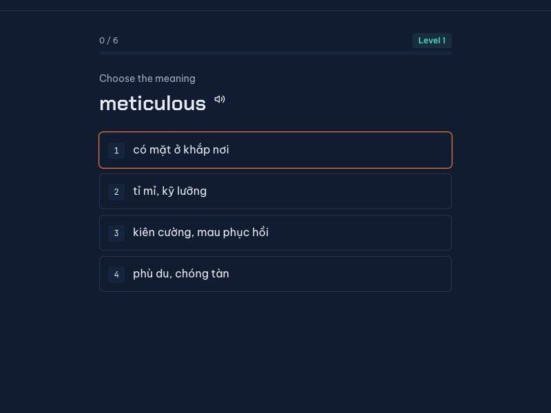 A review: choose the meaning of meticulous